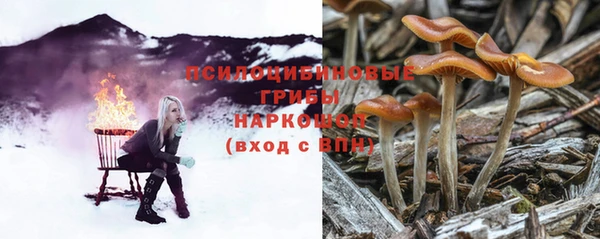 PSILOCYBIN Аркадак